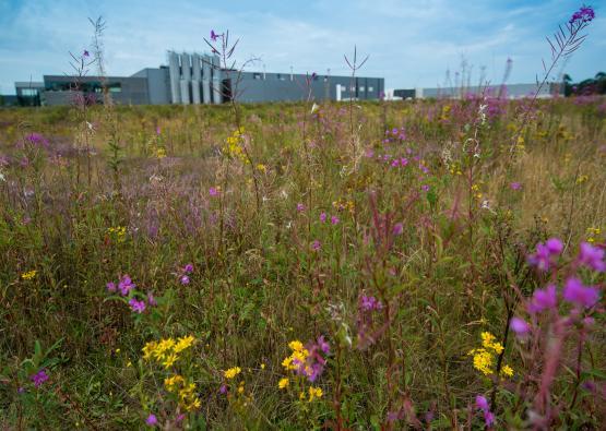 ®Fotogroep ISO400