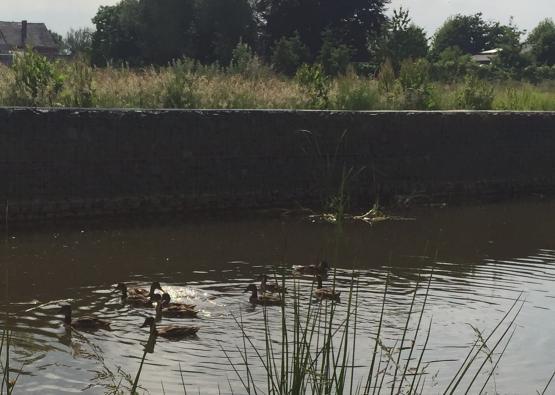 Dorpveld II - ecologisch bedrijventerrein